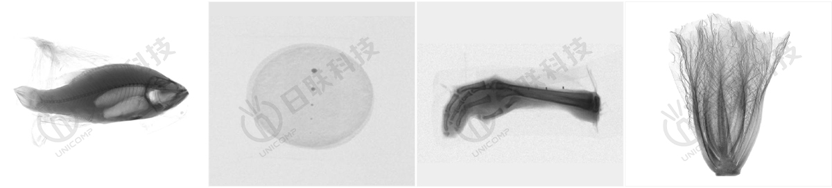 X-ray異物檢測(cè)圖-日聯(lián)